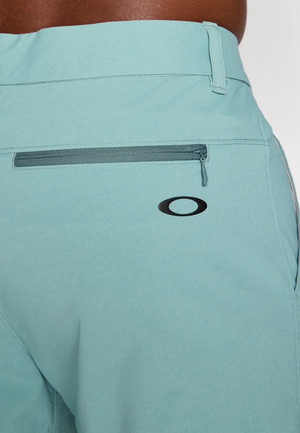 TERRAIN SHORT - Sports shorts - pacific3