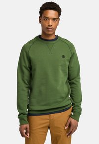 Giovane uomo con capelli ricci corti, che indossa una felpa verde oliva e pantaloni marroni, in piedi davanti a uno sfondo chiaro uniforme.