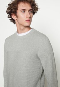 Lichtgrijze gebreide trui met textuurpatronen op het bovenste gedeelte, ronde hals en een ontspannen pasvorm. Draagt over een wit T-shirt.