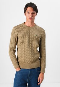 Pull en maille beige avec col rond et ourlet côtelé. Il arbore un petit logo vert sur la poitrine. Porté avec un jean en denim bleu.