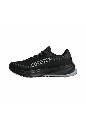 Black running shoe with a breathable mesh upper and Gore-Tex branding. Features a sleek design, textured sole, and grey accents.