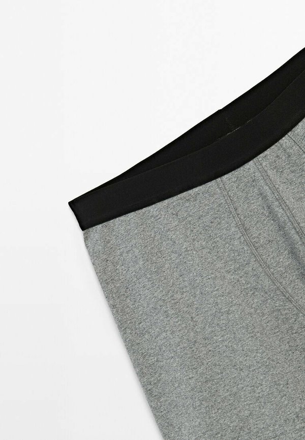 WITH WAISTBAND - Trunks3