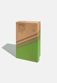 Kartónová krabice na boty se zeleným dnem a hnědým víkem, s ilustracemi Kermita a Prasátka a logem Adidas s brandingem Disney.