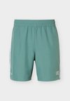 TENNIS PRO SHORTS CLASSIC - Αθλητικό σορτς - silver pine