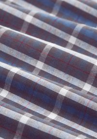 Geweven katoenstof met een donkerblauw en wit ruitpatroon met fijne rode lijnen, met een gladde textuur en een lichte glans.