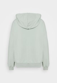 Sudadera verde claro hecha de material suave, con capucha, mangas largas y puños y dobladillo acanalados. La vista trasera muestra un diseño sencillo.