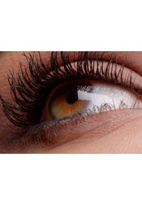 Maybelline New York FALSIES LASH LIFT - Mascara - brown