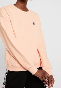 Licht perzikkleurige trui met een ronde hals en lange mouwen. Heeft een klein logo aan de voorkant en geribbelde boorden aan mouwen en zoom.