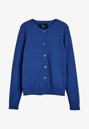 Vest - mottled blue
