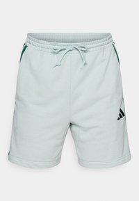 Pasirinkta, sage/collegiate green