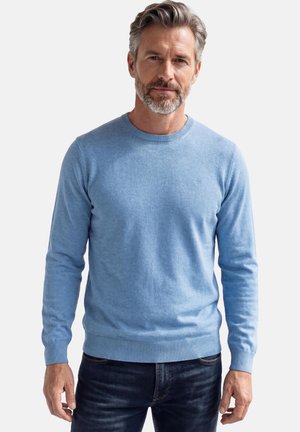 Middelbare man met grijs haar en baard, gekleed in een lichtblauwe trui met ronde hals en donkere spijkerbroek, staand tegen een effen achtergrond.