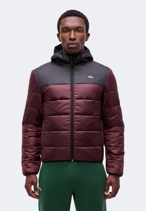 Homme portant une doudoune noire et bordeaux avec capuche, debout droit, associé à un pantalon vert sur un fond uni.