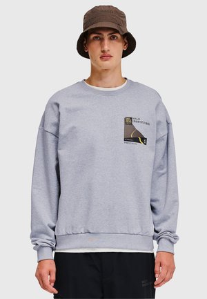 AVIATION BOXY CREW - Sweatshirt - light grey melange