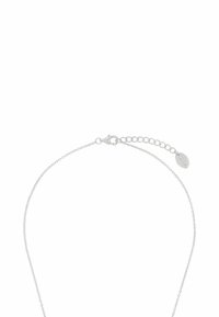 Collar de cadena de plata que presenta un delicado diseño de eslabones, un cierre de langosta y una cadena ajustable con un pequeño detalle de etiqueta.