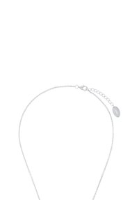 Collana in argento con un design delicato, dotata di chiusura a moschettone e lunghezza regolabile con un piccolo tag ovale. Texture liscia.