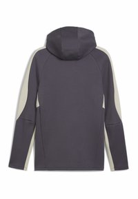 Sudadera con capucha, cuerpo gris oscuro, paneles laterales crema, mangas largas, textura suave, diseño sencillo, costuras planas, sin logotipos ni patrones visibles.