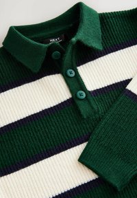 Polo vert à rayures bleu marine et crème, doté d'un col et de trois boutons teal au niveau du col. Texture douce.