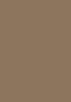 icy copper