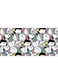 Personaggi dei cartoni animati colorati, tra cui cani e bambini, in varie pose. Presenta contorni neri, abbigliamento vivace e uno sfondo a motivi.