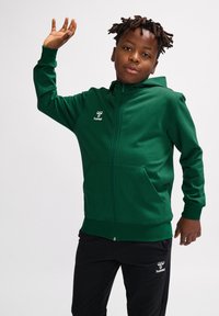 Grön zip-up hoodie med framficka, ribbade muddar och en logotyp på bröstet, kombinerad med svarta byxor med en logotyp på benet.