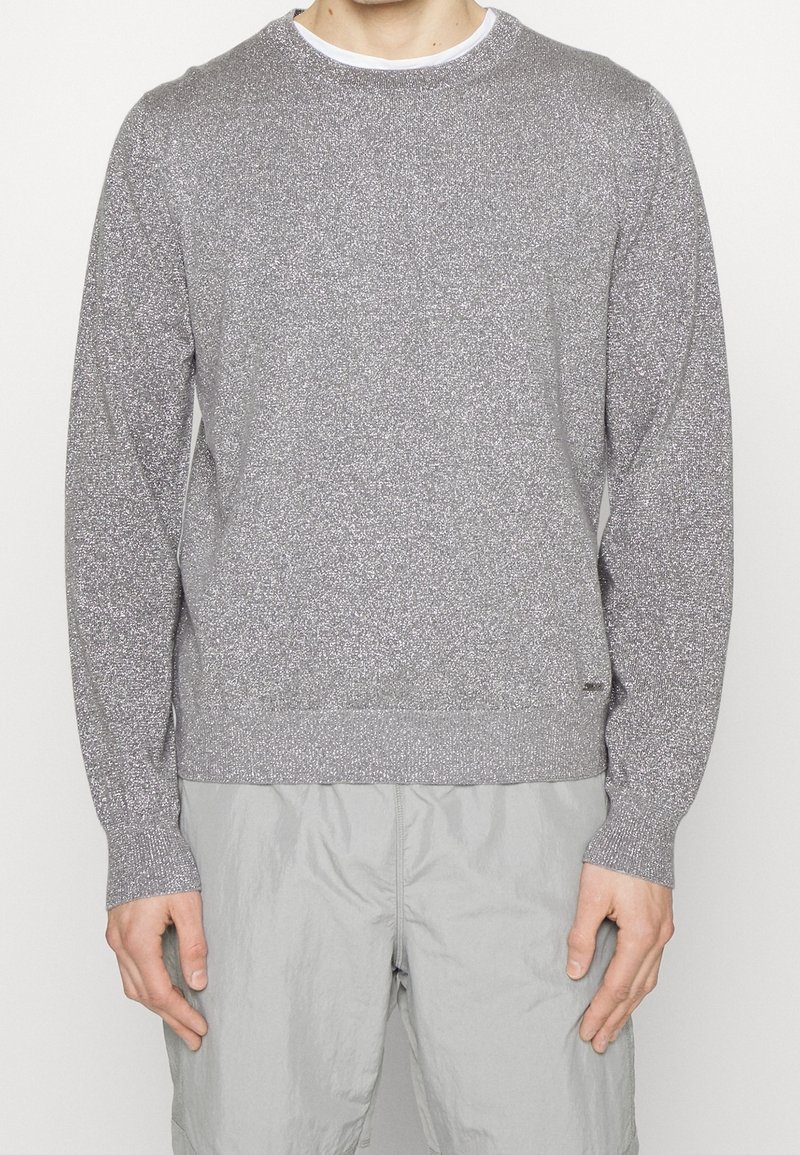 Silver glitter sweater with a round neck, long sleeves, and ribbed cuffs. Soft texture, featuring a subtle, sparkly pattern throughout.