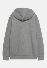 Felpa grigia con una trama morbida, dotata di un ampio cappuccio, polsini a coste e un orlo. Il tessuto ha una finitura liscia senza motivi.