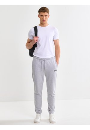 Big Star BRUTUS - Teplákové kalhoty - grau