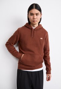 Brown hoodie with a front pouch pocket and drawstring hood. Features a small logo patch on the chest. Fabric appears soft and textured.