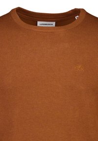 Brauner Rundhalspullover mit kleinem, auf der linken Brust aufgesticktem Logo und weißem "Lindbergh"-Etikett innen am Kragen.
