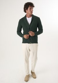 Roheline ribadega kardigan, millel on plisseeritud krae, nööbiga kinnitamine ja pikad varrukad, koos kreemjate pükste ja beežide ankle-kingadega.