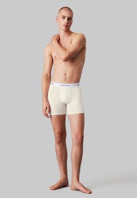 Calvin Klein Underwear - BOXER BRIEF 5 PACK - Uske bokserice - multi-coloured Minijatura 1