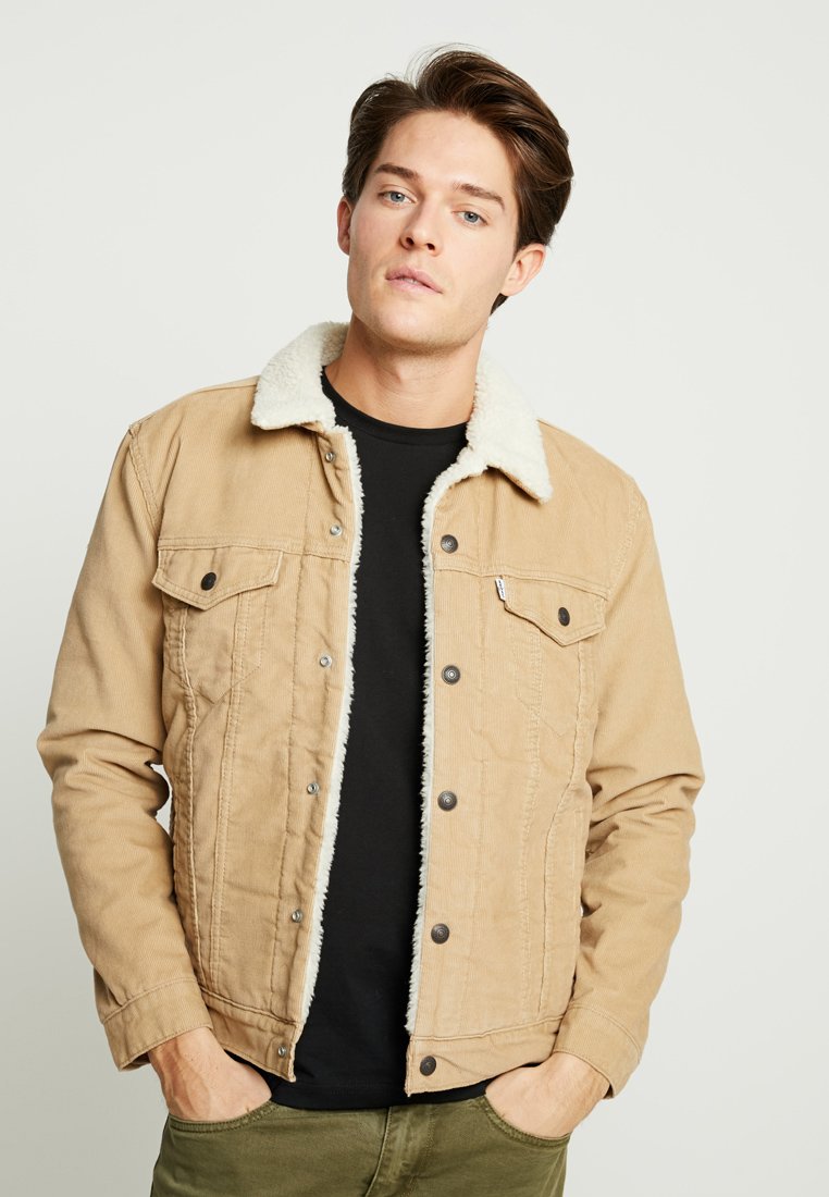 Levi