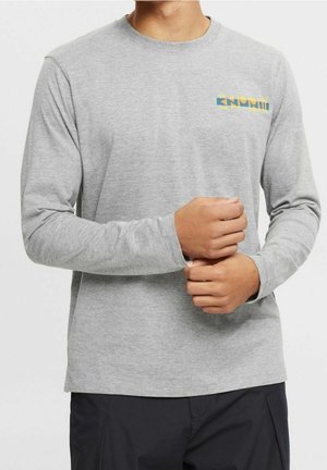 Langærmet T-shirt - grey