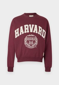 Bordó kapucnis pulóver fehér "HARVARD" felirattal, a középen "VERITAS" felirattal ellátott kör alakú emblémával és díszítő elemekkel.