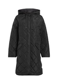 AllSaints RINA LINER - Abrigo de invierno - black