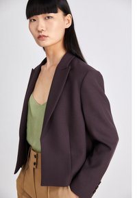 Blazer de un oscuro color púrpura con una forma ajustada, solapas con muesca y una silueta entallada, llevado sobre una blusa verde clara y pantalones beige, mostrando un hardware mínimo.