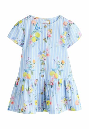 Hellblaues Baumwollkleid mit Blumenmustern und vertikalen Streifen, kurzen Puffärmeln, einem ausgestellten Rock und Holzknöpfen.