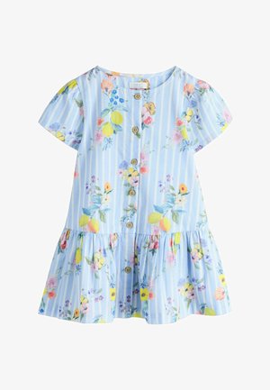 Svetlomodré bavlnené šaty s kvetinovými vzormi a vertikálnymi pruhmi, krátkymi nafúknutými rukávmi, rozšírenou sukňou a drevenými gombíkmi.