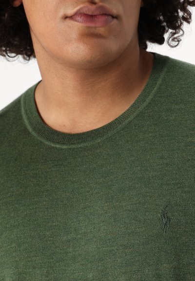 Polo Ralph Lauren Big & Tall LONG SLEEVED PULLOVER - Pulóver - classic olive