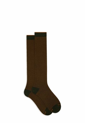 Calze coscia a righe marroni con bordo verde. Il materiale sembra liscio, presentando strisce sottili di colore scuro e chiaro disposte alternativamente.