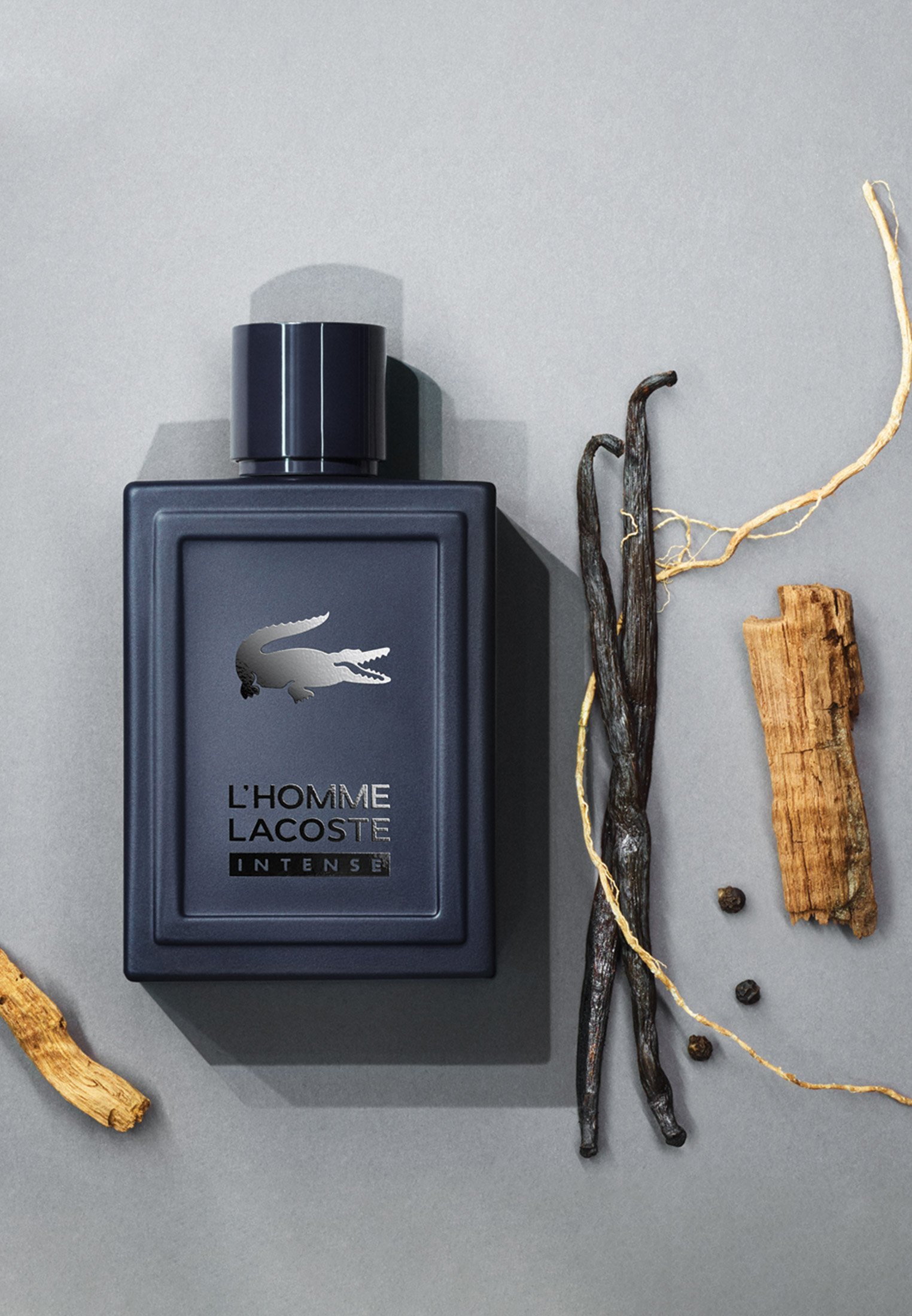 lacoste homme intense