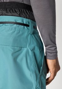 Adidas Terrex PANTS - Skijaške hlače - preloved teal