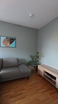 Sofá gris debajo de una obra de arte enmarcada de una mujer, planta frondosa junto a una jaula de metal y una consola de medios baja de madera sobre suelo de madera.