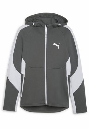 EVOSTRIPE  - Sweater met rits - mineral gray