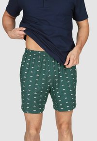 Pantaloni corti verdi con un sottile motivo bianco e blu di piccoli design di barche, realizzati in un tessuto morbido con una cintura elastica.