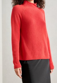 Rode, ribbelgeweven trui met hoge kraag en lange mouwen, gecombineerd met een zwarte rok. Zachte textuur met een getailleerde silhouet.