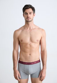 Rövid sötét hajjal rendelkező férfi, szürke Puma boxeralsót visel, bordó derékkal, egy sima világos háttér előtt áll.