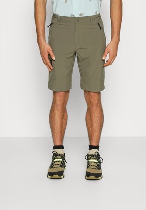 TRIPLE CANYON™ - Shorts outdoor - stone green