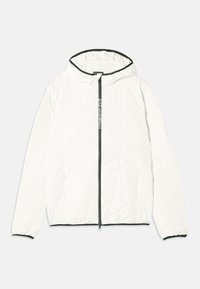 TRAIN PREMIUM  JACKET - Pūkinė striukė - vanilla ice