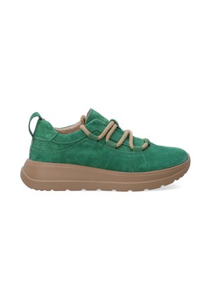 - Sneakersy niskie